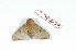  ( - BC-Her2180)  @12 [ ] Copyright (2010) Unspecified Research Collection of Daniel Herbin