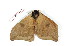  ( - BC-Her2192)  @12 [ ] Copyright (2010) Unspecified Research Collection of Daniel Herbin
