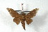  ( - BC-Her2220)  @11 [ ] Copyright (2010) Unspecified Research Collection of Daniel Herbin