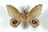  ( - BC-Her2268)  @14 [ ] Copyright (2010) Unspecified Research Collection of Daniel Herbin