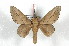  ( - BC-Her2283)  @13 [ ] Copyright (2010) Unspecified Research Collection of Daniel Herbin