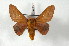  ( - BC-Her2381)  @13 [ ] Copyright (2010) Unspecified Research Collection of Daniel Herbin