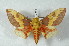  ( - BC-Her2409)  @15 [ ] Copyright (2010) Unspecified Research Collection of Daniel Herbin