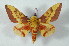  ( - BC-Her2412)  @14 [ ] Copyright (2010) Unspecified Research Collection of Daniel Herbin