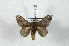  ( - BC-Her2428)  @13 [ ] Copyright (2010) Unspecified Research Collection of Daniel Herbin