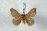  ( - BC-Her2429)  @11 [ ] Copyright (2010) Unspecified Research Collection of Daniel Herbin