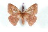  ( - BC-Her2434)  @13 [ ] Copyright (2010) Unspecified Research Collection of Daniel Herbin