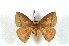  ( - BC-Her2435)  @14 [ ] Copyright (2010) Unspecified Research Collection of Daniel Herbin