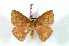  ( - BC-Her2436)  @14 [ ] Copyright (2010) Unspecified Research Collection of Daniel Herbin