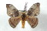  ( - BC-Her2443)  @11 [ ] Copyright (2010) Unspecified Research Collection of Daniel Herbin