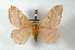  ( - BC-Her2448)  @13 [ ] Copyright (2010) Unspecified Research Collection of Daniel Herbin