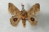  ( - BC-Her2453)  @12 [ ] Copyright (2010) Unspecified Research Collection of Daniel Herbin