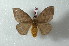  ( - BC-Her2459)  @13 [ ] Copyright (2010) Unspecified Research Collection of Daniel Herbin