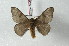  ( - BC-Her2464)  @13 [ ] Copyright (2010) Unspecified Research Collection of Daniel Herbin
