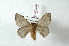  ( - BC-Her2469)  @13 [ ] Copyright (2010) Unspecified Research Collection of Daniel Herbin