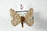  ( - BC-Her2470)  @13 [ ] Copyright (2010) Unspecified Research Collection of Daniel Herbin