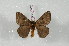  ( - BC-Her2476)  @13 [ ] Copyright (2010) Unspecified Research Collection of Daniel Herbin