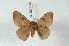  ( - BC-Her2486)  @12 [ ] Copyright (2010) Unspecified Research Collection of Daniel Herbin
