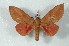  ( - BC-Her2497)  @13 [ ] Copyright (2010) Unspecified Research Collection of Daniel Herbin