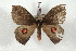  ( - BC-Her2526)  @13 [ ] Copyright (2010) Unspecified Research Collection of Daniel Herbin