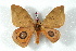  ( - BC-Her2540)  @14 [ ] Copyright (2010) Unspecified Research Collection of Daniel Herbin