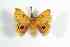  ( - BC-Her2593)  @13 [ ] Copyright (2010) Unspecified Research Collection of Daniel Herbin