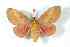  ( - BC-Her2654)  @13 [ ] Copyright (2010) Unspecified Research Collection of Daniel Herbin