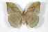  ( - BC-Her2659)  @14 [ ] Copyright (2010) Unspecified Research Collection of Daniel Herbin