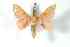  ( - BC-Her2661)  @13 [ ] Copyright (2010) Unspecified Research Collection of Daniel Herbin