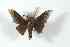  ( - BC-Her2696)  @13 [ ] Copyright (2010) Unspecified Research Collection of Daniel Herbin