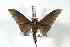  ( - BC-Her2735)  @11 [ ] Copyright (2010) Unspecified Research Collection of Daniel Herbin