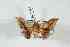  ( - BC-Her2747)  @11 [ ] Copyright (2010) Unspecified Research Collection of Daniel Herbin