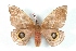 ( - BC-Her2821)  @11 [ ] Copyright (2010) Unspecified Research Collection of Daniel Herbin