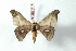  ( - BC-Her2824)  @13 [ ] Copyright (2010) Unspecified Research Collection of Daniel Herbin