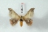  ( - BC-Her2828)  @12 [ ] Copyright (2010) Unspecified Research Collection of Daniel Herbin