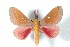  ( - BC-Her2866)  @14 [ ] Copyright (2010) Unspecified Research Collection of Daniel Herbin