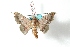  ( - BC-Her2910)  @12 [ ] Copyright (2010) Unspecified Research Collection of Daniel Herbin