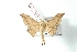  ( - BC-Her2927)  @11 [ ] Copyright (2010) Unspecified Research Collection of Daniel Herbin
