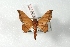  ( - BC-Her2943)  @11 [ ] Copyright (2010) Unspecified Research Collection of Daniel Herbin