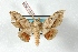  ( - BC-Her2947)  @11 [ ] Copyright (2010) Unspecified Research Collection of Daniel Herbin