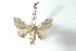  ( - BC-Her2952)  @11 [ ] Copyright (2010) Unspecified Research Collection of Daniel Herbin