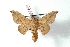  ( - BC-Her2954)  @11 [ ] Copyright (2010) Unspecified Research Collection of Daniel Herbin