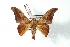  ( - BC-Her2956)  @13 [ ] Copyright (2010) Unspecified Research Collection of Daniel Herbin