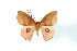  ( - BC-Her3020)  @12 [ ] Copyright (2010) Unspecified Research Collection of Daniel Herbin