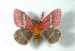  ( - BC-Her3032)  @12 [ ] Copyright (2010) Unspecified Research Collection of Daniel Herbin