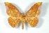  ( - BC-Her3050)  @13 [ ] Copyright (2010) Unspecified Research Collection of Daniel Herbin