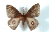  ( - BC-Her3194)  @11 [ ] Copyright (2010) Unspecified Research Collection of Daniel Herbin