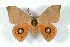  ( - BC-Her3219)  @15 [ ] Copyright (2010) Unspecified Research Collection of Daniel Herbin