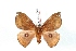  ( - BC-Her3232)  @13 [ ] Copyright (2010) Unspecified Research Collection of Daniel Herbin