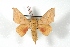  ( - BC-Her3254)  @14 [ ] Copyright (2010) Unspecified Research Collection of Daniel Herbin